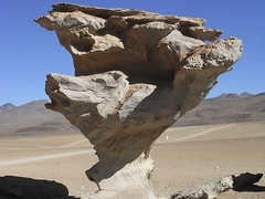 Arbol de Piedra - Bolivien